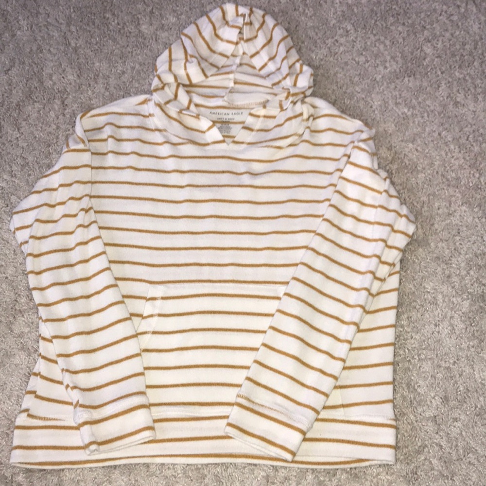 American Eagle Soft & Sexy Plush Pullover Hoodie